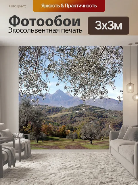 Фотообои Оливковые деревья