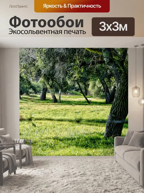 Фотообои Открыть луг