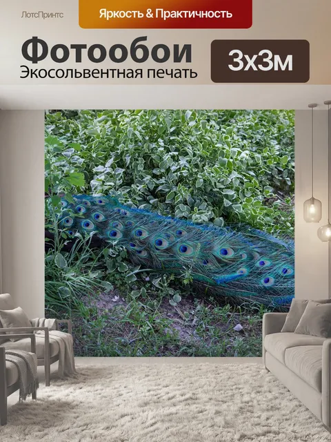Фотообои Павлин
