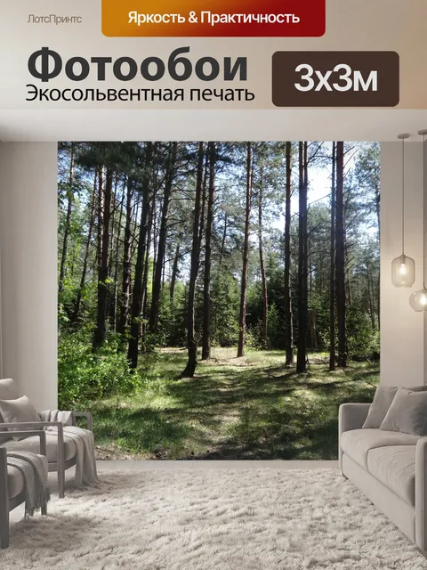 Фотообои Лес в Польше