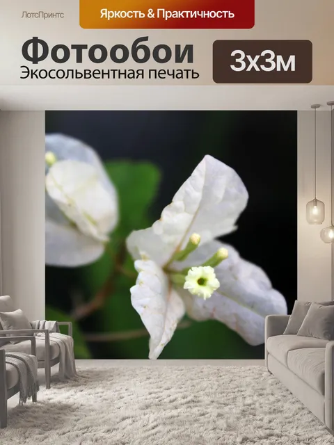 Фотообои белые цветы 3