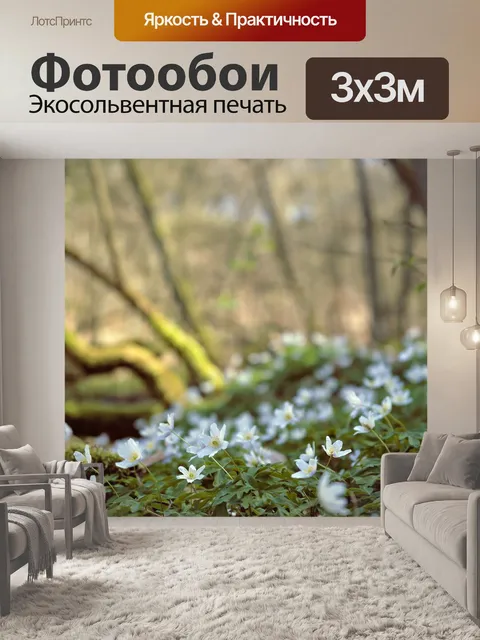Фотообои Древесные анемоны