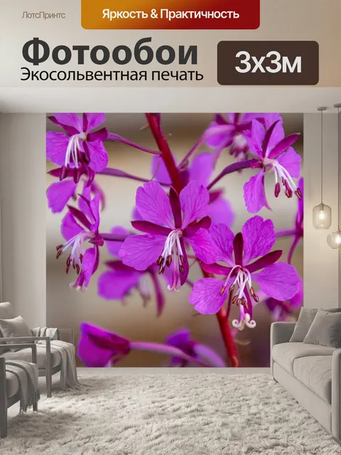 Фотообои Листья кипрея