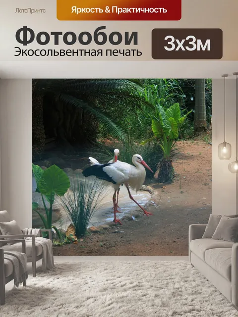 Фотообои аист птица