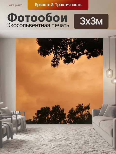 Фотообои Красочный