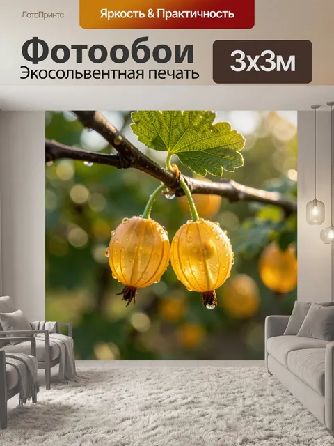 Фотообои Янтарные плоды с росой