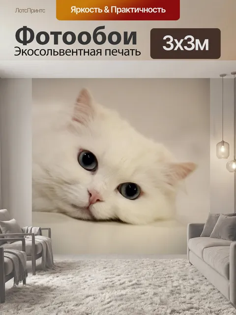 Фотообои Кошка