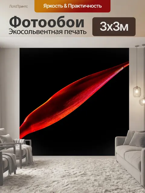 Фотообои Стрелиция