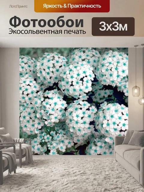 Фотообои белые цветы