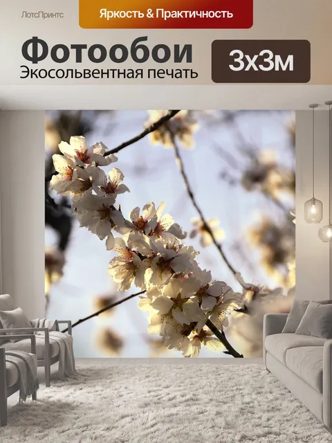 Фотообои Цветы