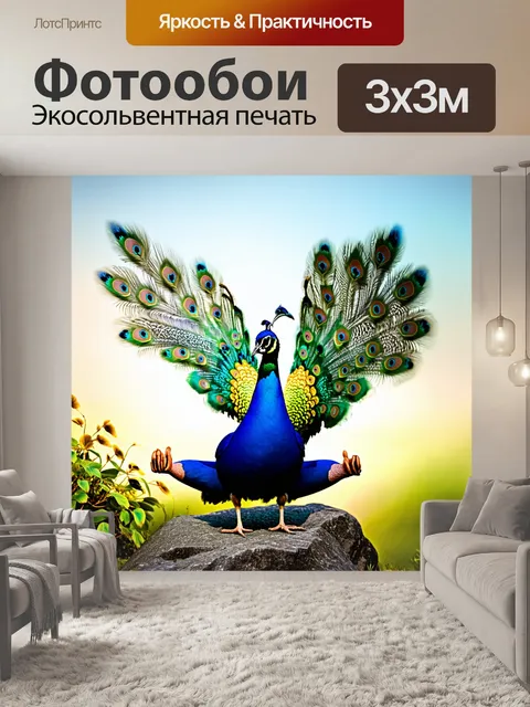 Фотообои павлин, распустивший свои перья на скале, медитирует, олицетворяя красоту и грацию