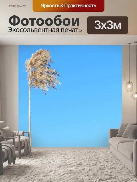 Фотообои Трава и голубое небо