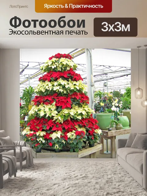 Фотообои Поинсеттиа Рождественская елка