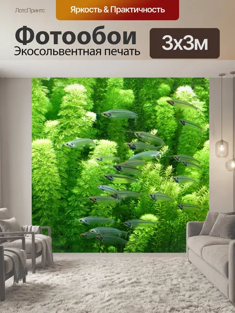 Фотообои Рыбы