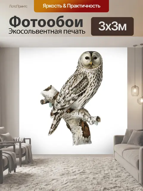 Фотообои Сова Винтаж клипарт наклейки