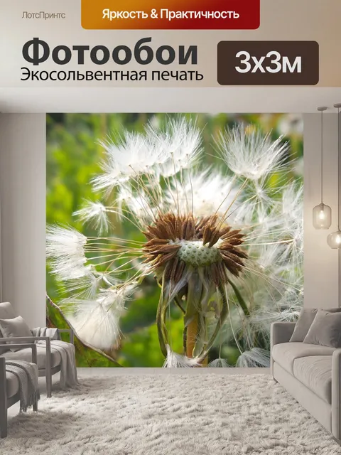 Фотообои Белый