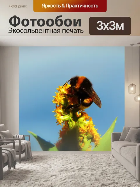 Фотообои Шмель газ
