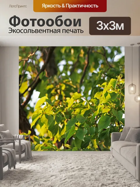Фотообои свет на листьях