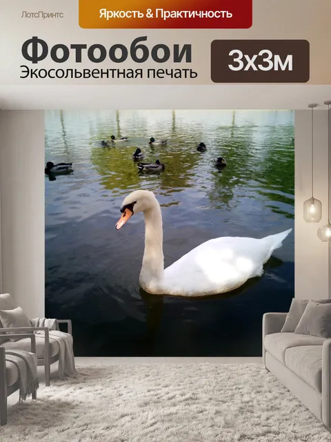 Фотообои Лебедь