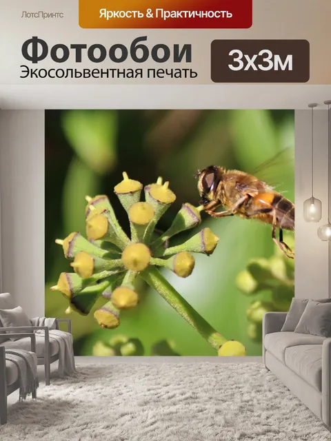 Фотообои Пчела на английском плюще