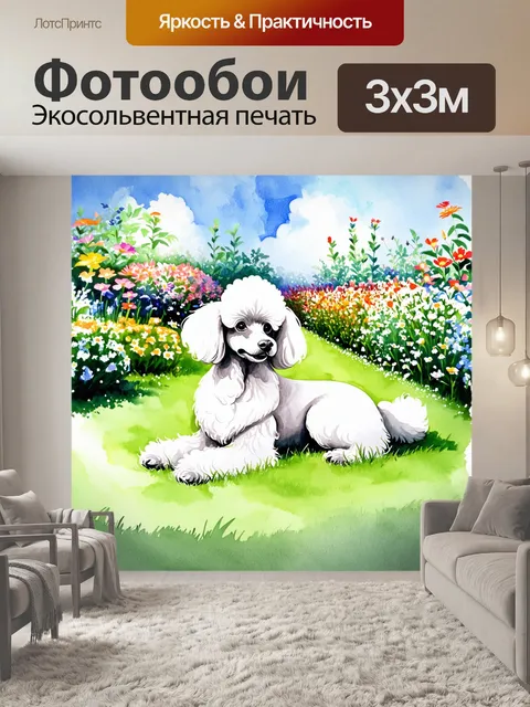 Фотообои огромный миниатюрный пудель с белоснежной шерстью, лежащий на мягком зеленом газоне