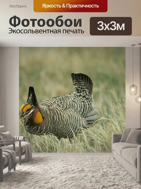 Фотообои Купидон