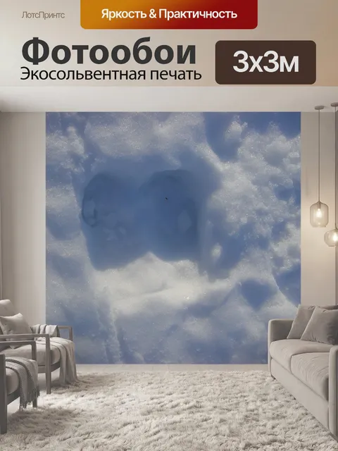Фотообои Moose след