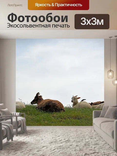Фотообои Бездельничать