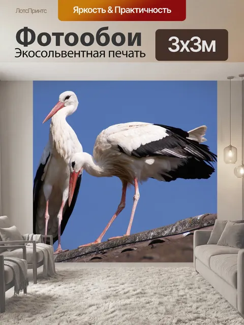 Фотообои Аист