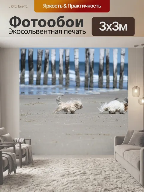 Фотообои Собаки