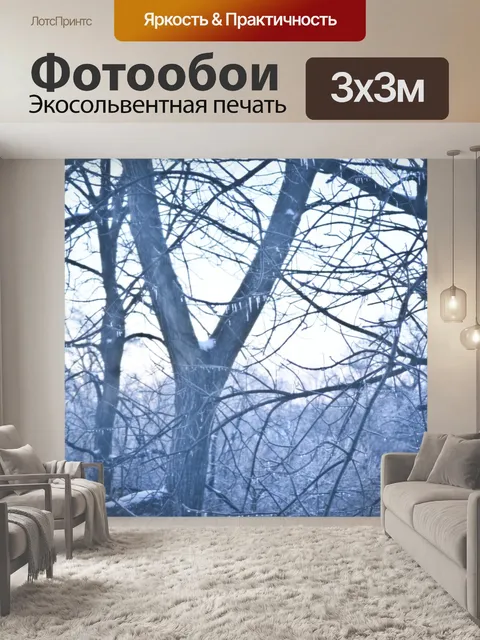 Фотообои Зимний холод