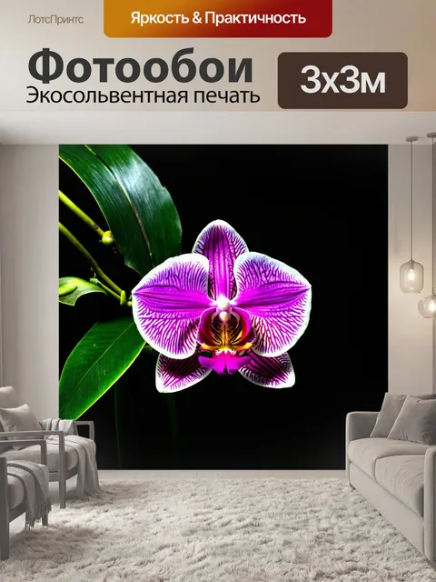 Фотообои цветы с экзотическими орхидеями и тропическими листьями на темном фоне