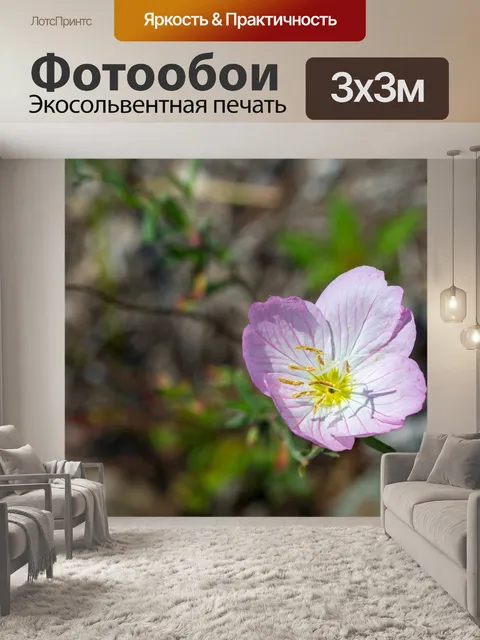 Фотообои Розовый цветок