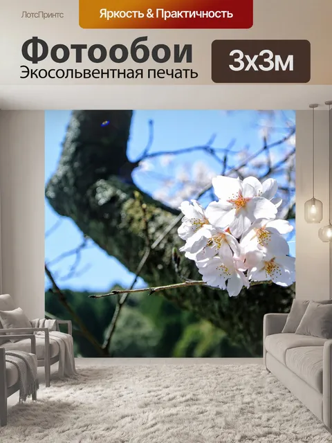 Фотообои Цветение вишни