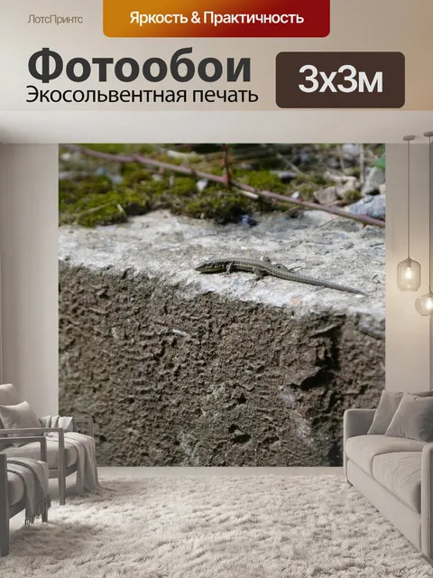 Фотообои Ящерица на стене