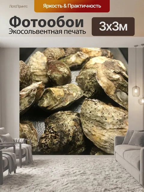 Фотообои Устрицы