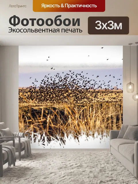 Фотообои Стая птиц