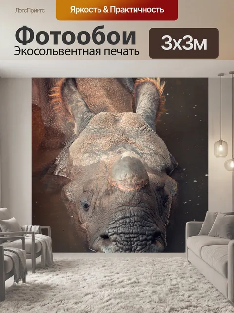 Фотообои Носорог в воде