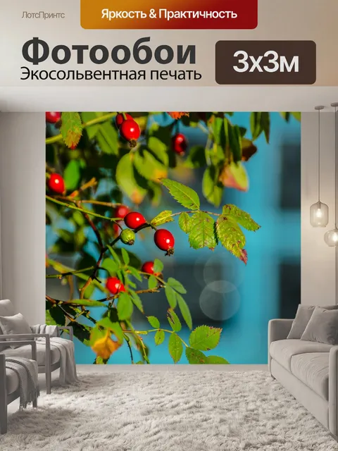 Фотообои Красные плоды шиповника