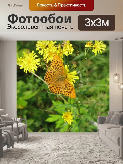 Фотообои Бабочка