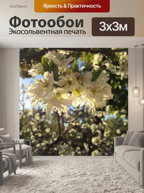 Фотообои Расцветает