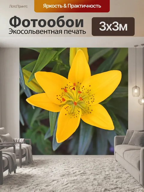 Фотообои Желтая лилия