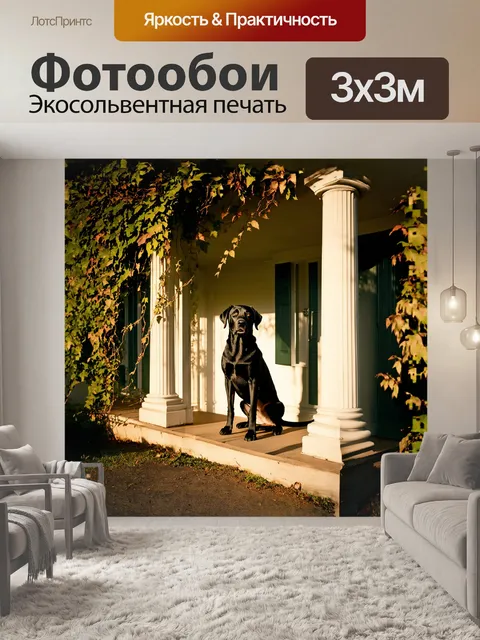 Фотообои черный лабрадор, сидящий на веранде старинного загородного дома, обрамлен массивными колоннами и зелеными…