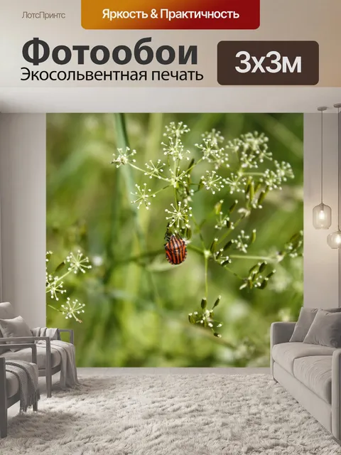 Фотообои Леди ошибка