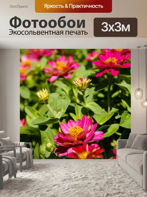 Фотообои Сад из розовых цветов