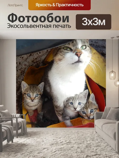 Фотообои Кошки