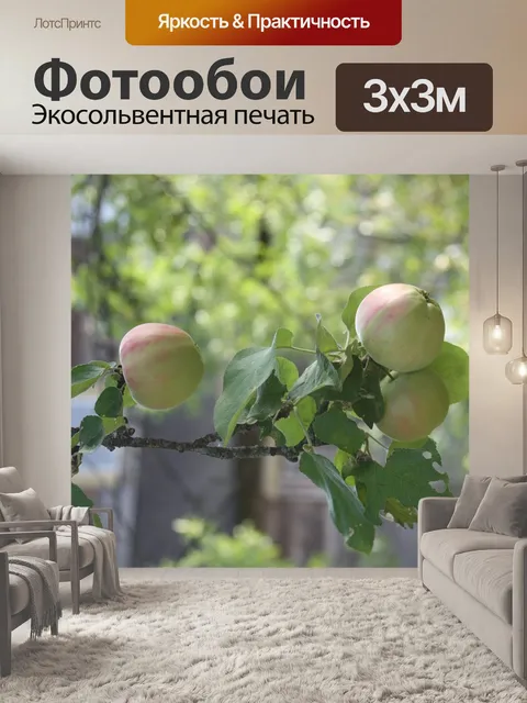 Фотообои Яблоки на ветке
