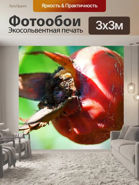 Фотообои близкая деталь оранжевого шиповника