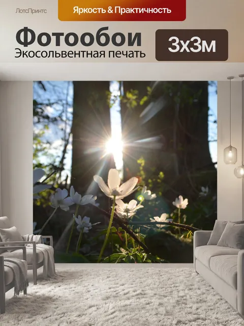 Фотообои Солнечные лучи