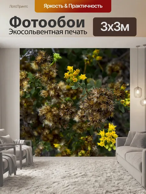 Фотообои Нежные желтые цветы